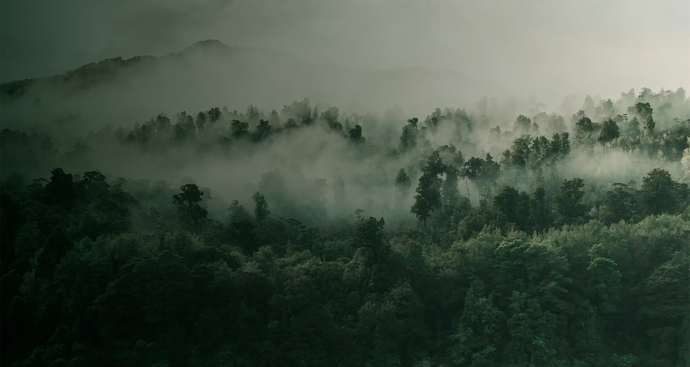 Hero Section Sustainability