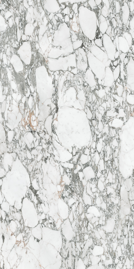 Arabescato Corchia 59 Slab 6mm R 6