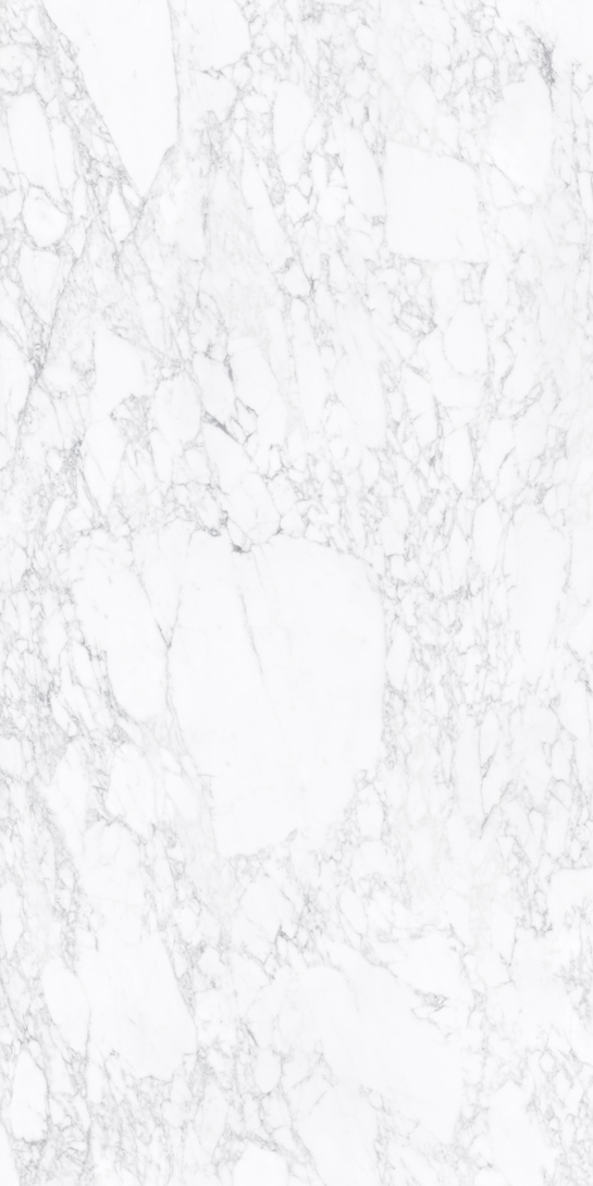Arabescato Vagli 34 Slab 6 12mm B 1