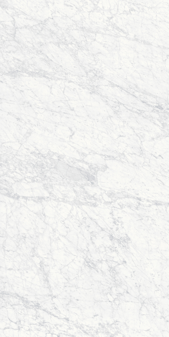 Bianco Gioia 19 Slab 12mm B 2