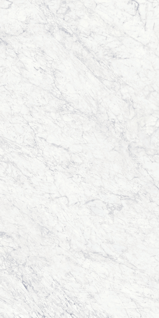 Bianco Gioia 19 Slab 6mm R 4
