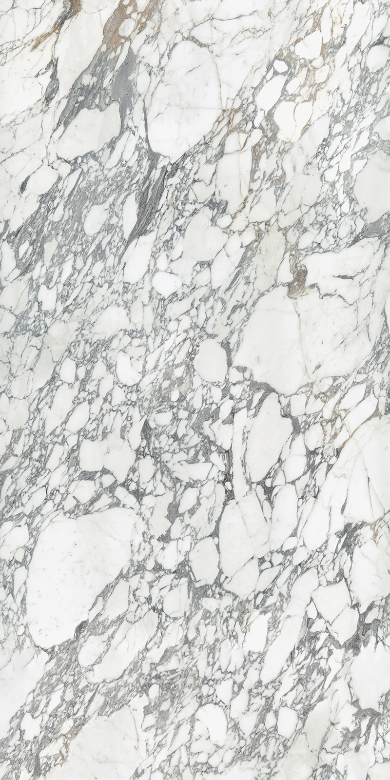 Arabescato Corchia 59 Slab 12mm B 1