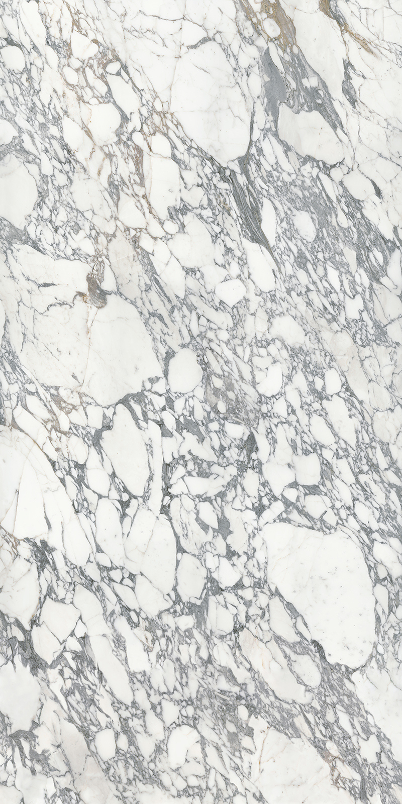 Arabescato Corchia 59 Slab 12mm B 2