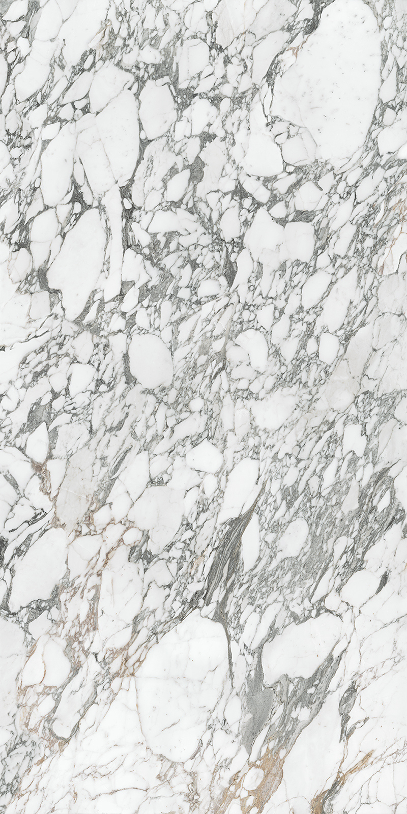 Arabescato Corchia 59 Slab 6mm R 1