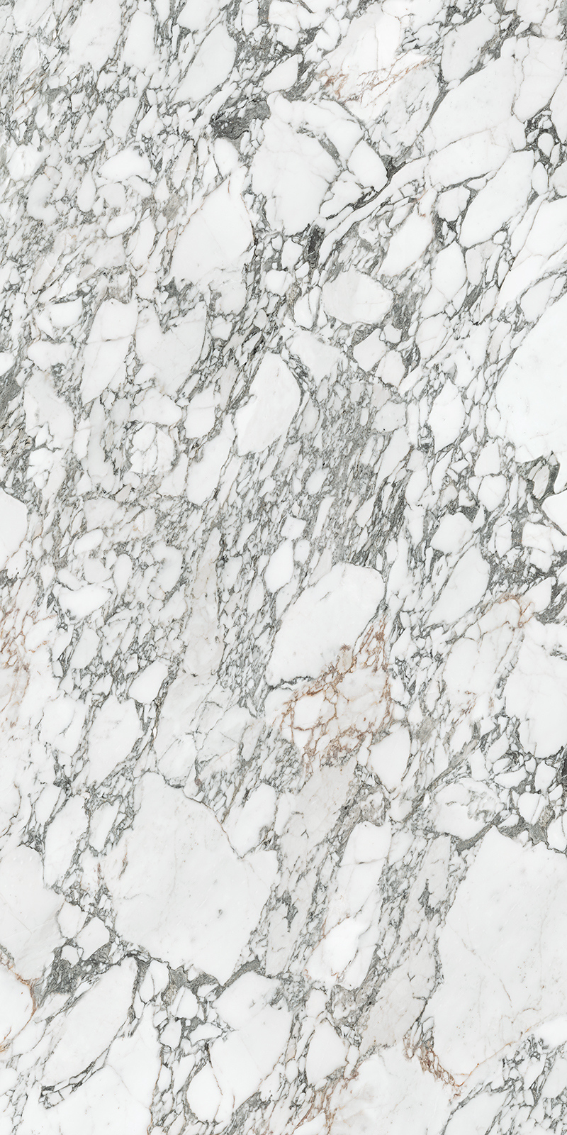 Arabescato Corchia 59 Slab 6mm R 4