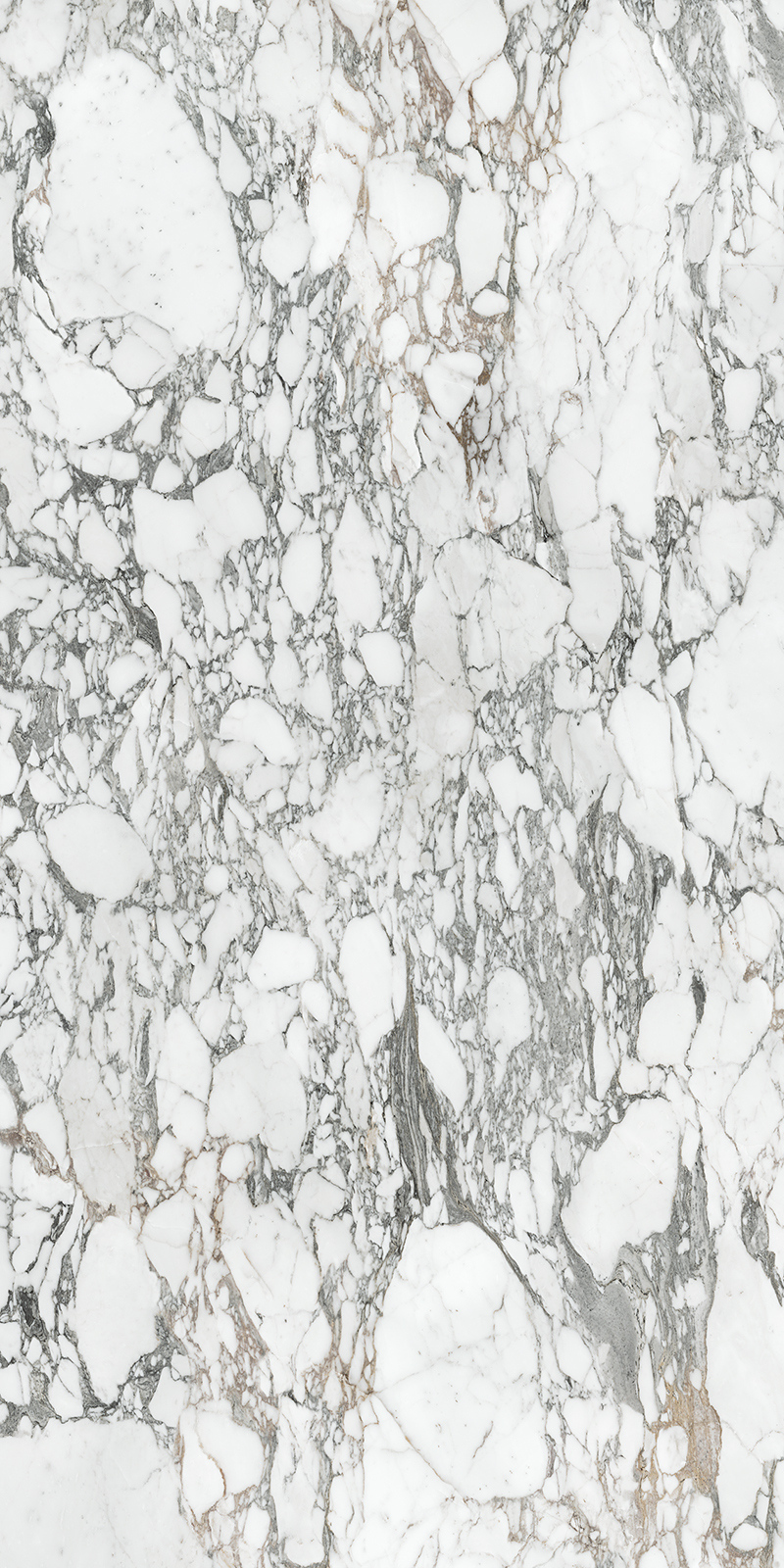 Arabescato Corchia 59 Slab 6mm R 5