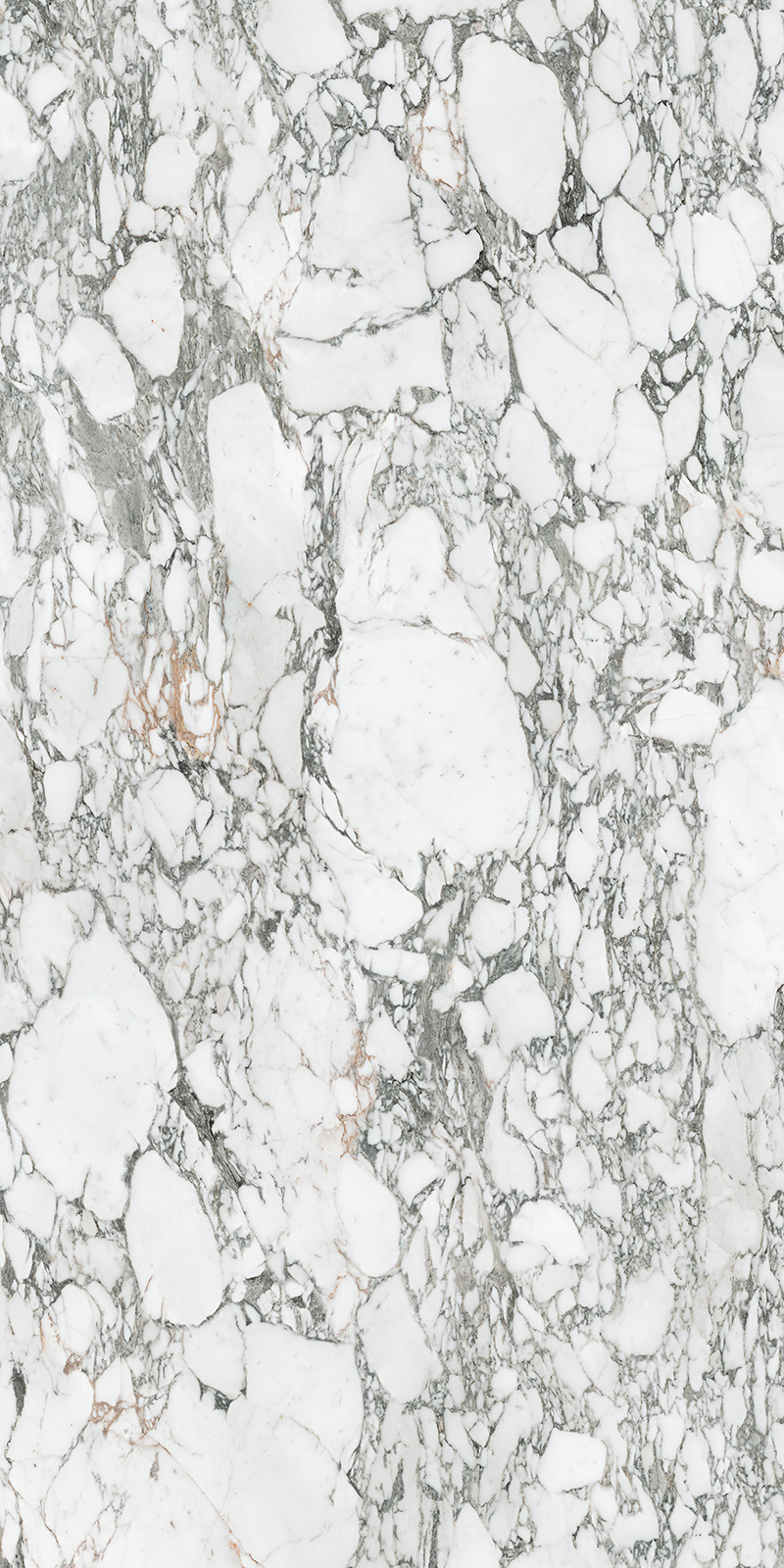 Arabescato Corchia 59 Slab 6mm R 6