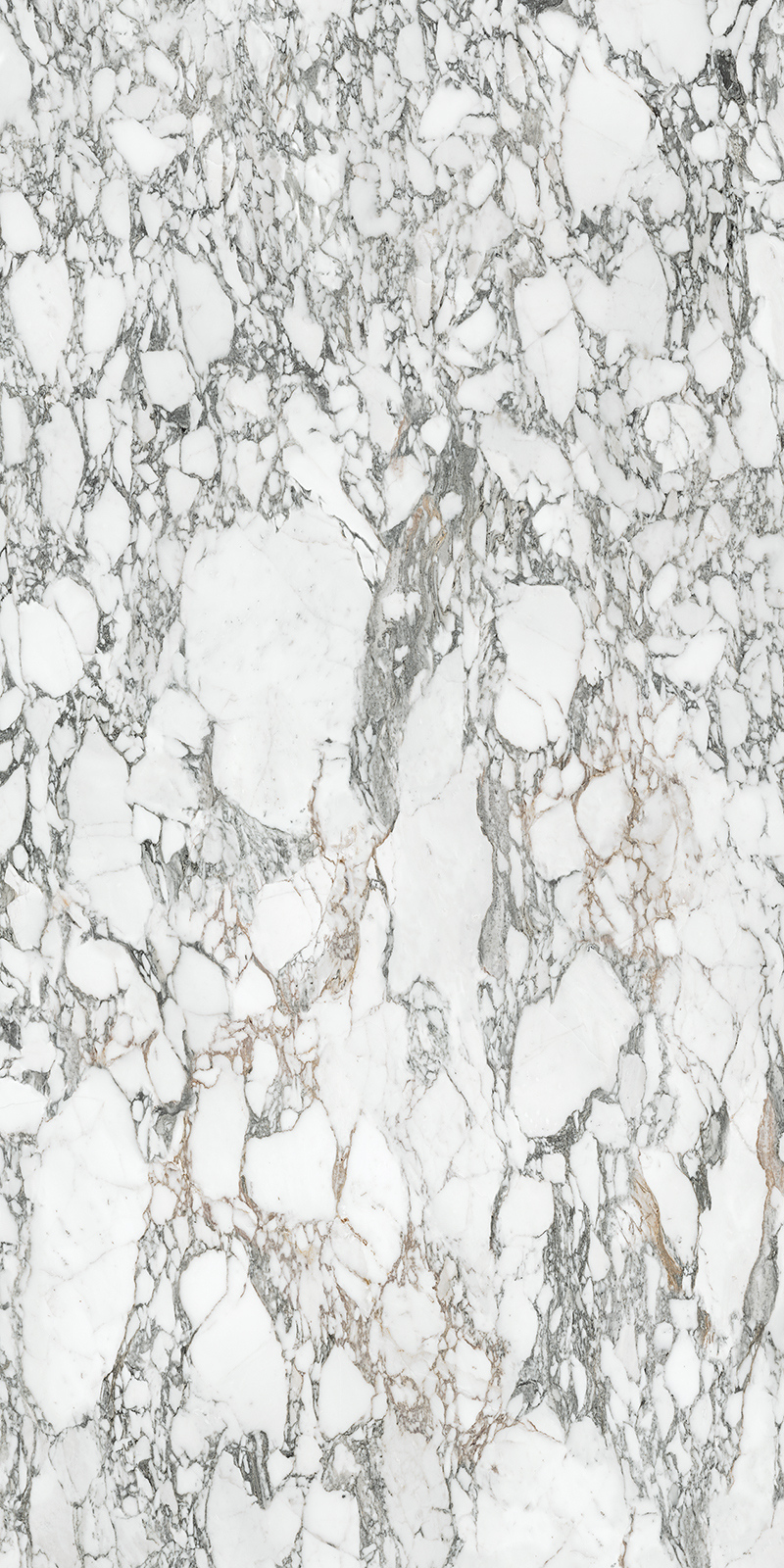 Arabescato Corchia 59 Slab 6mm R 7