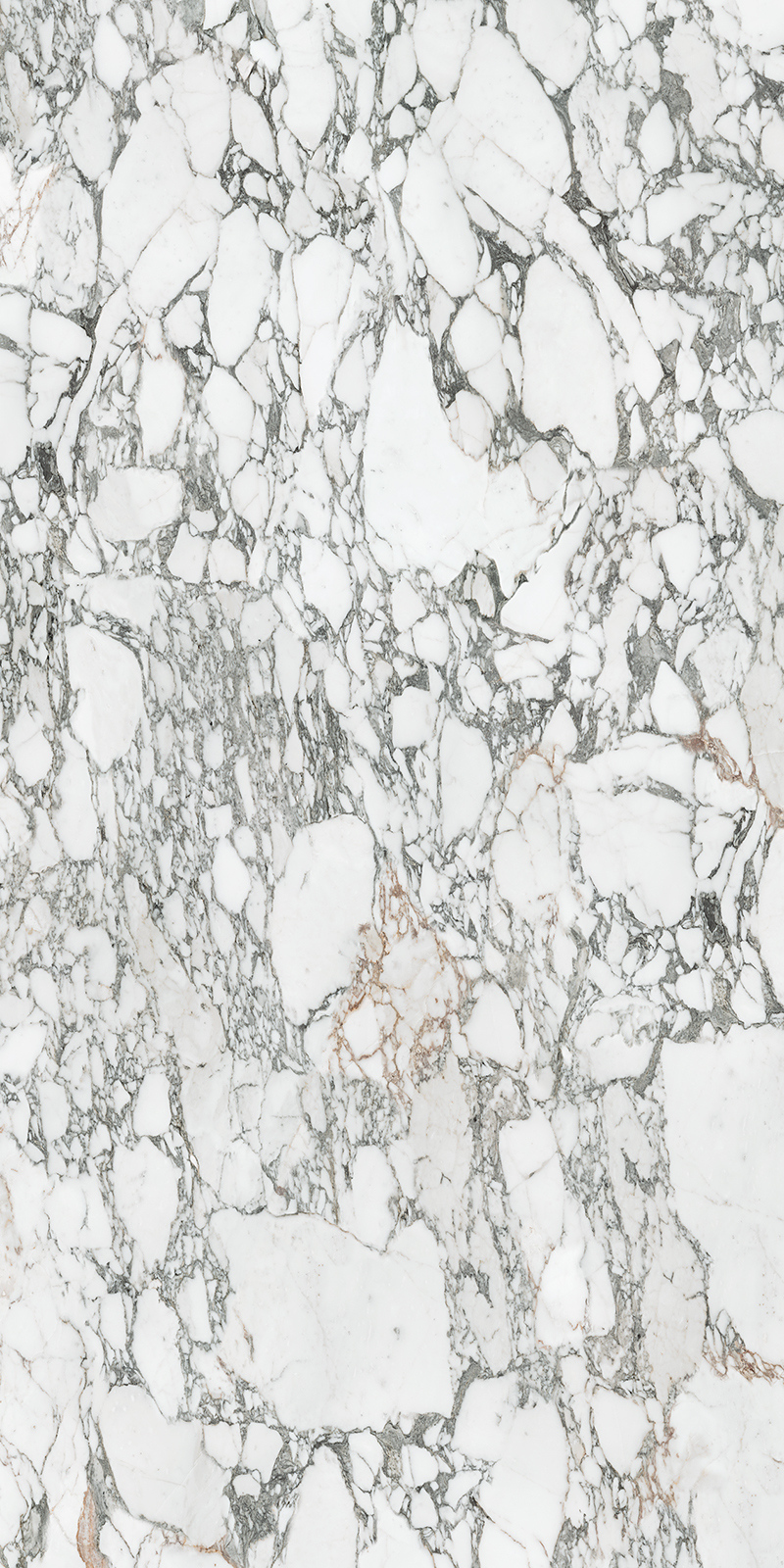 Arabescato Corchia 59 Slab 6mm R 8