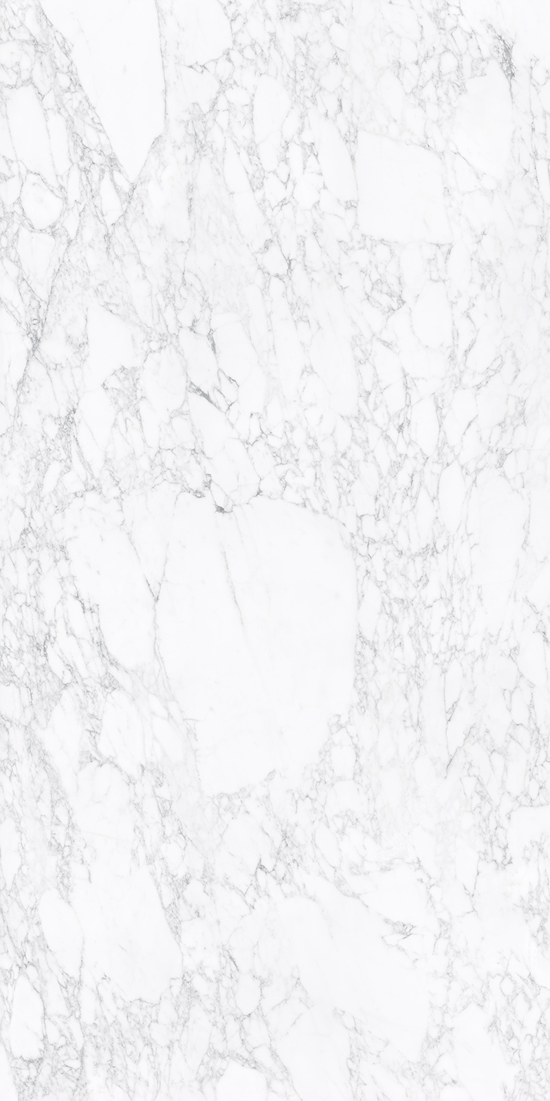 Arabescato Vagli 34 Slab 6 12mm B 01