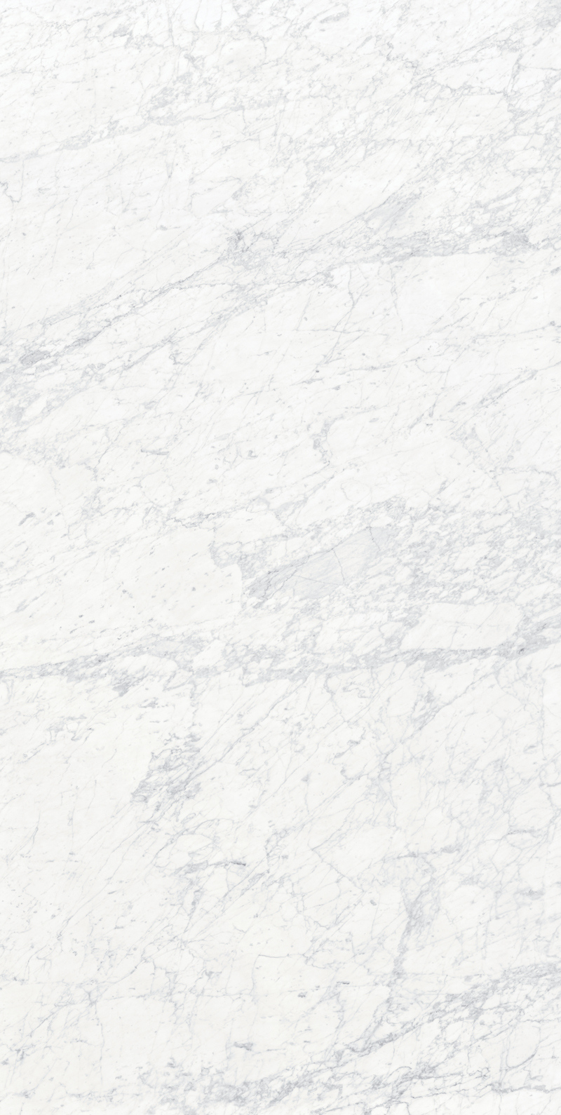 Bianco Gioia 19 Slab 12mm B 1