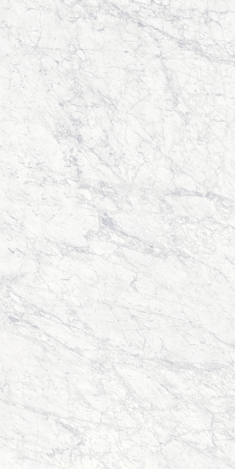 Bianco Gioia 19 Slab 6mm R 1