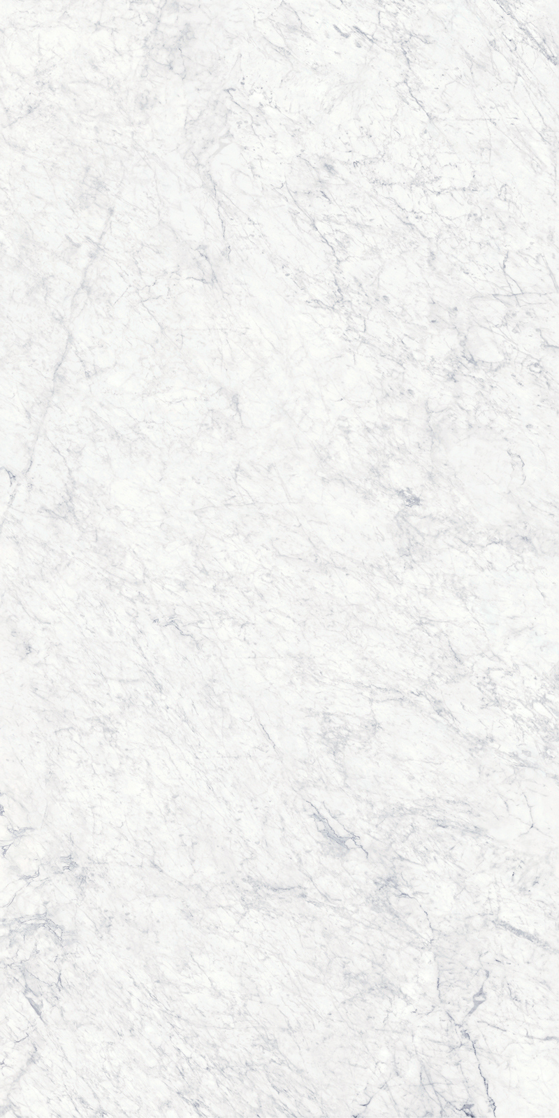 Bianco Gioia 19 Slab 6mm R 2