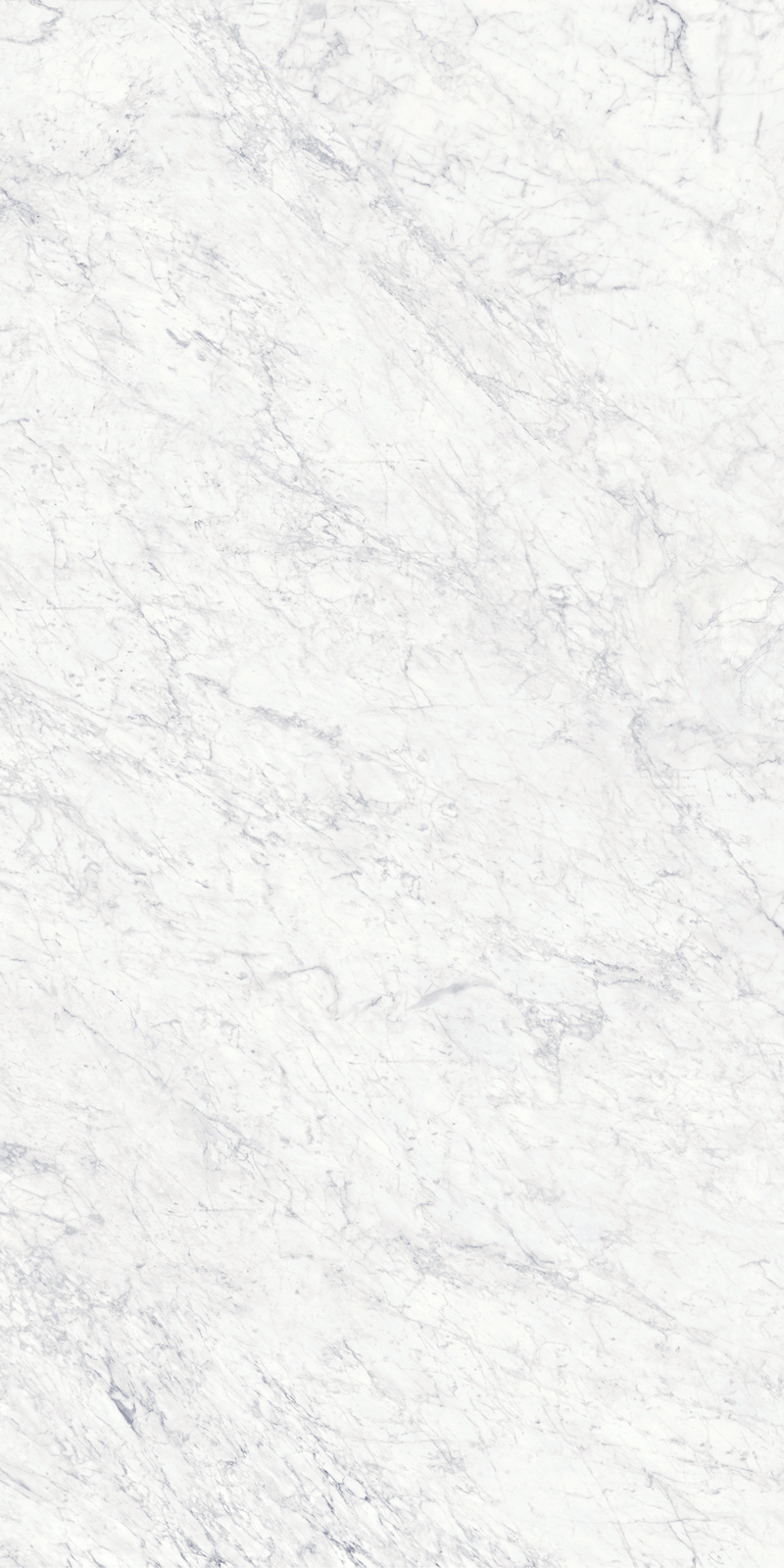 Bianco Gioia 19 Slab 6mm R 4