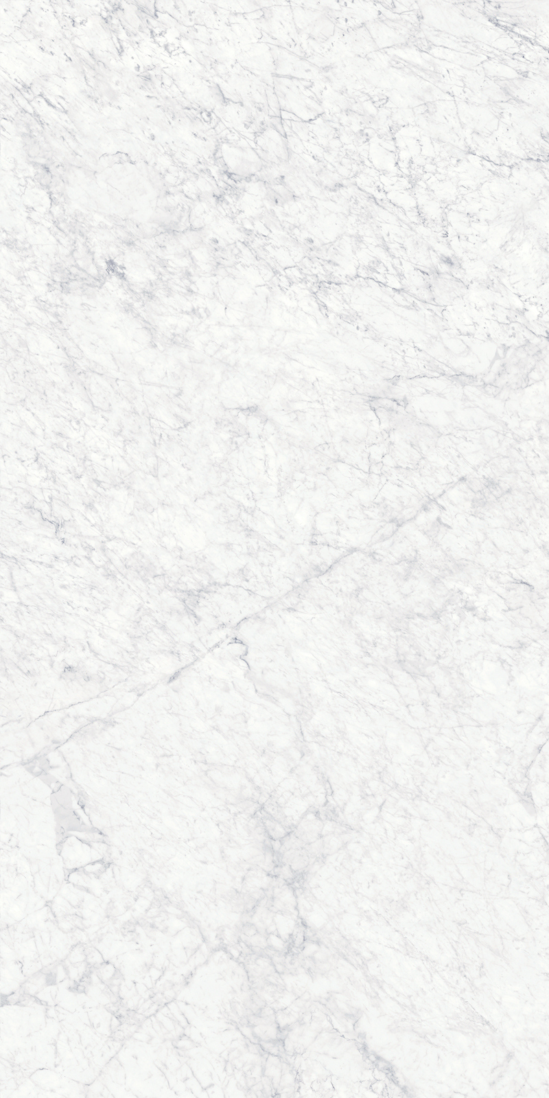 Bianco Gioia 19 Slab 6mm R 5