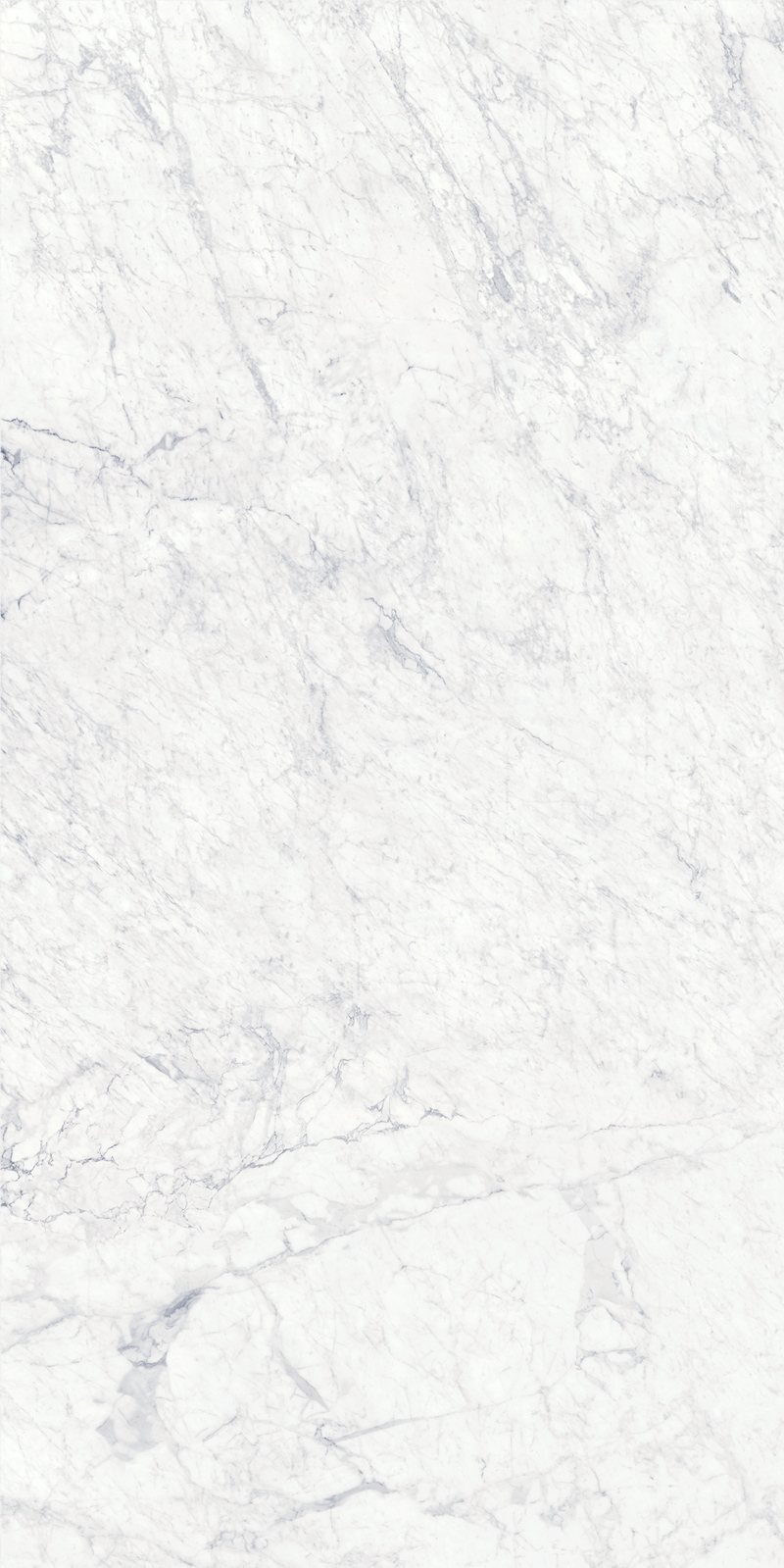 Bianco Gioia 19 Slab 6mm R 6