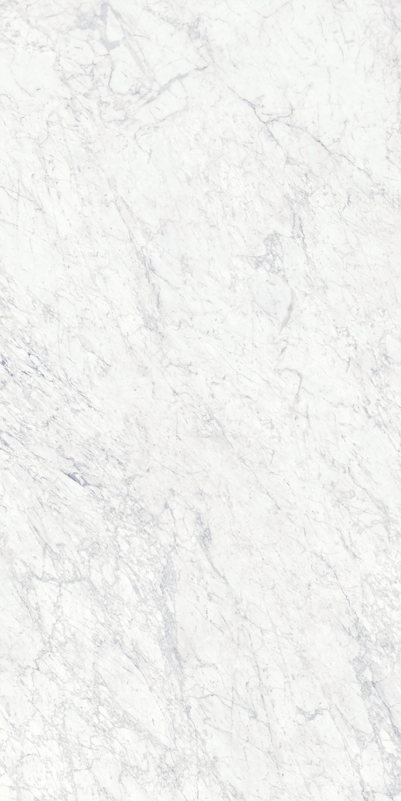 Bianco Gioia 19 Slab 6mm R 7