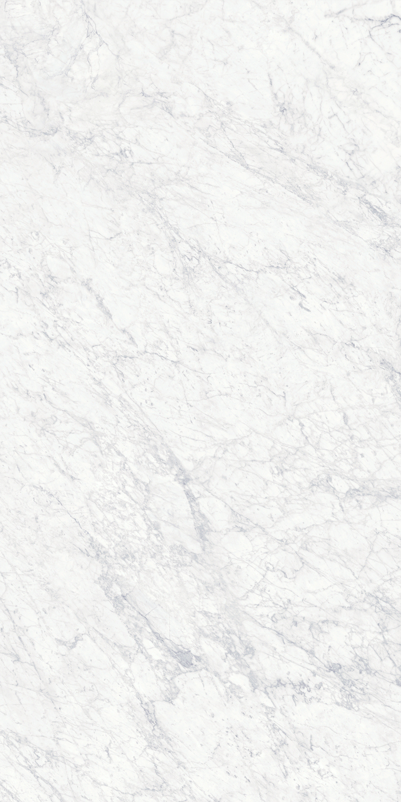 Bianco Gioia 19 Slab 6mm R 8