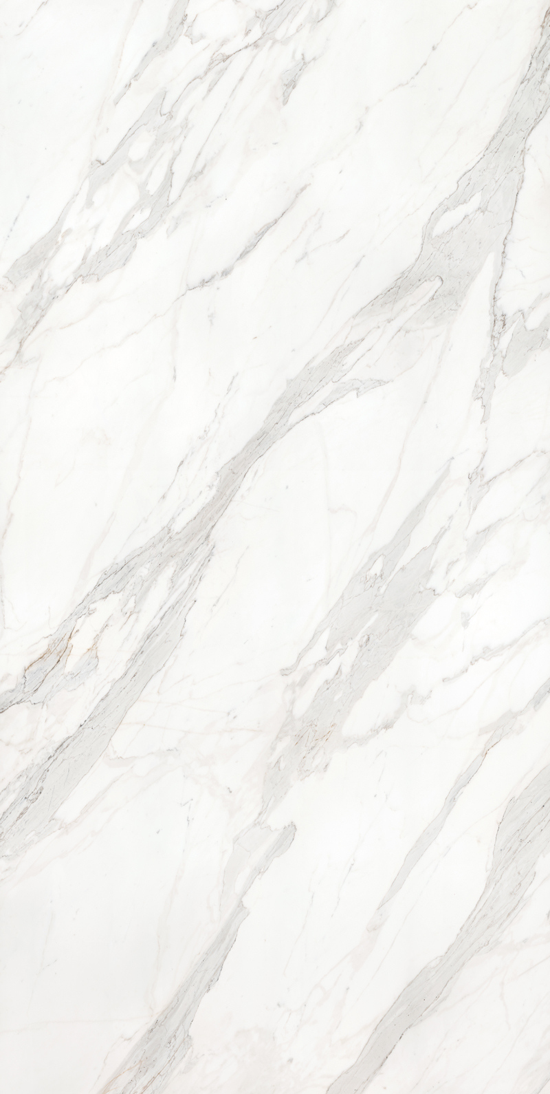 Calacatta Borghini 48 Slab 12mm B 1