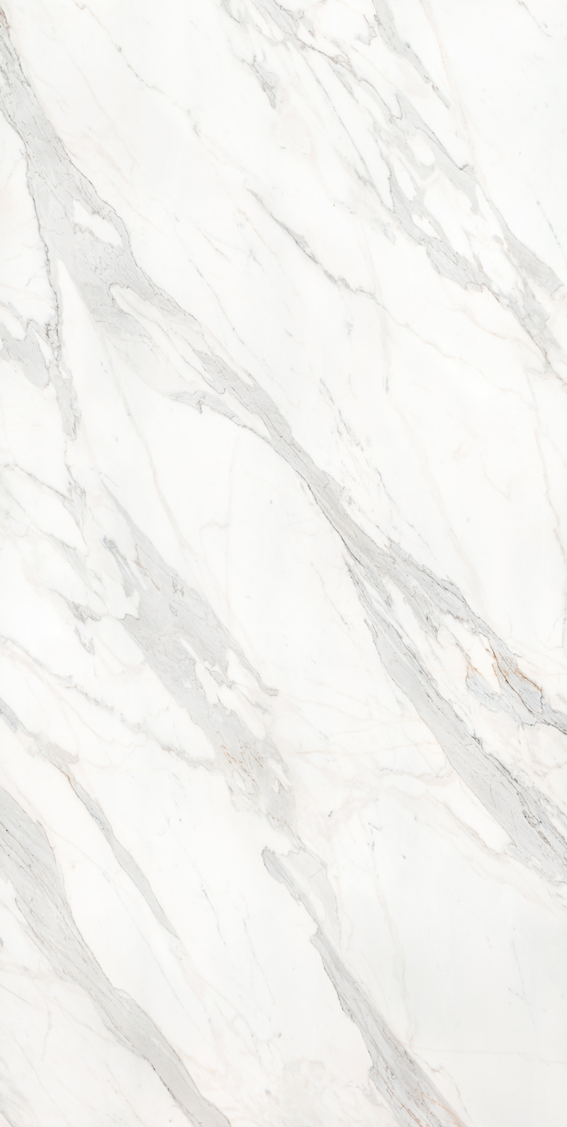 Calacatta Borghini 48 Slab 12mm B 2