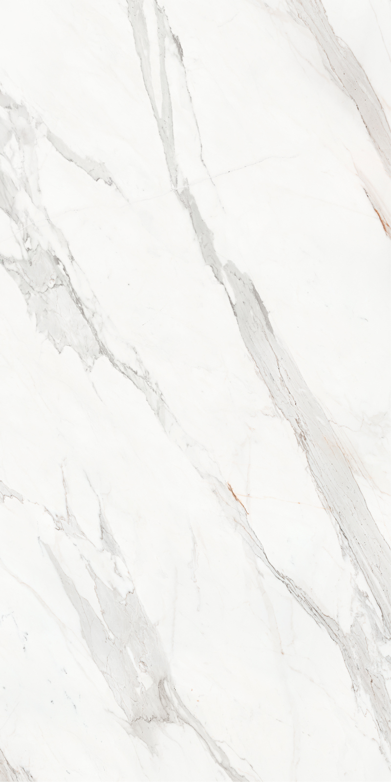 Calacatta Borghini 48 Slab 6mm R 1