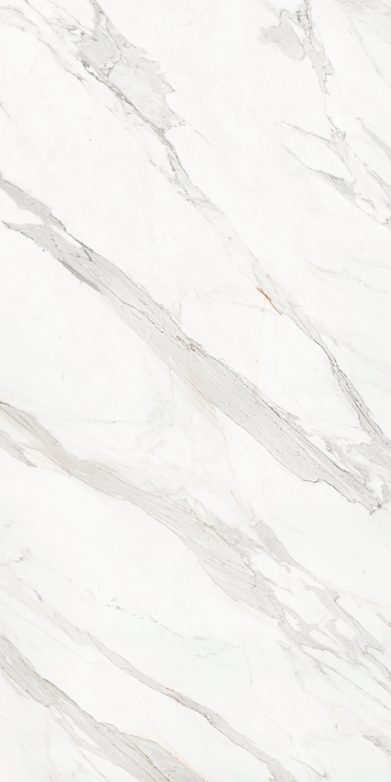 Calacatta Borghini 48 Slab 6mm R 2