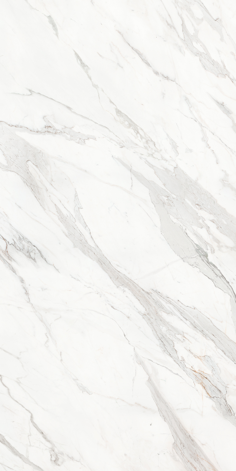 Calacatta Borghini 48 Slab 6mm R 3