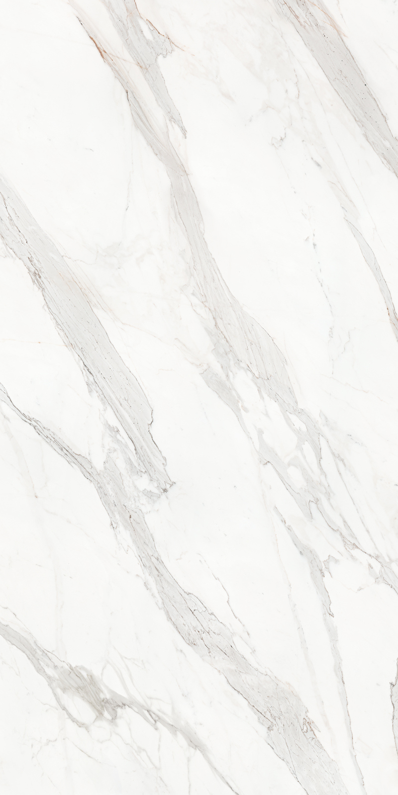 Calacatta Borghini 48 Slab 6mm R 4