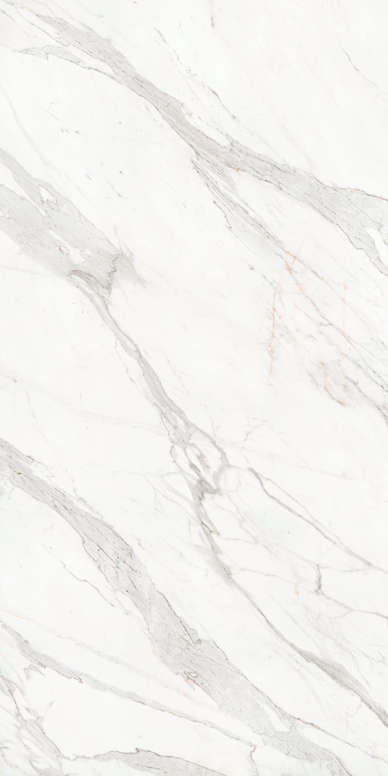 Calacatta Borghini 48 Slab 6mm R 5