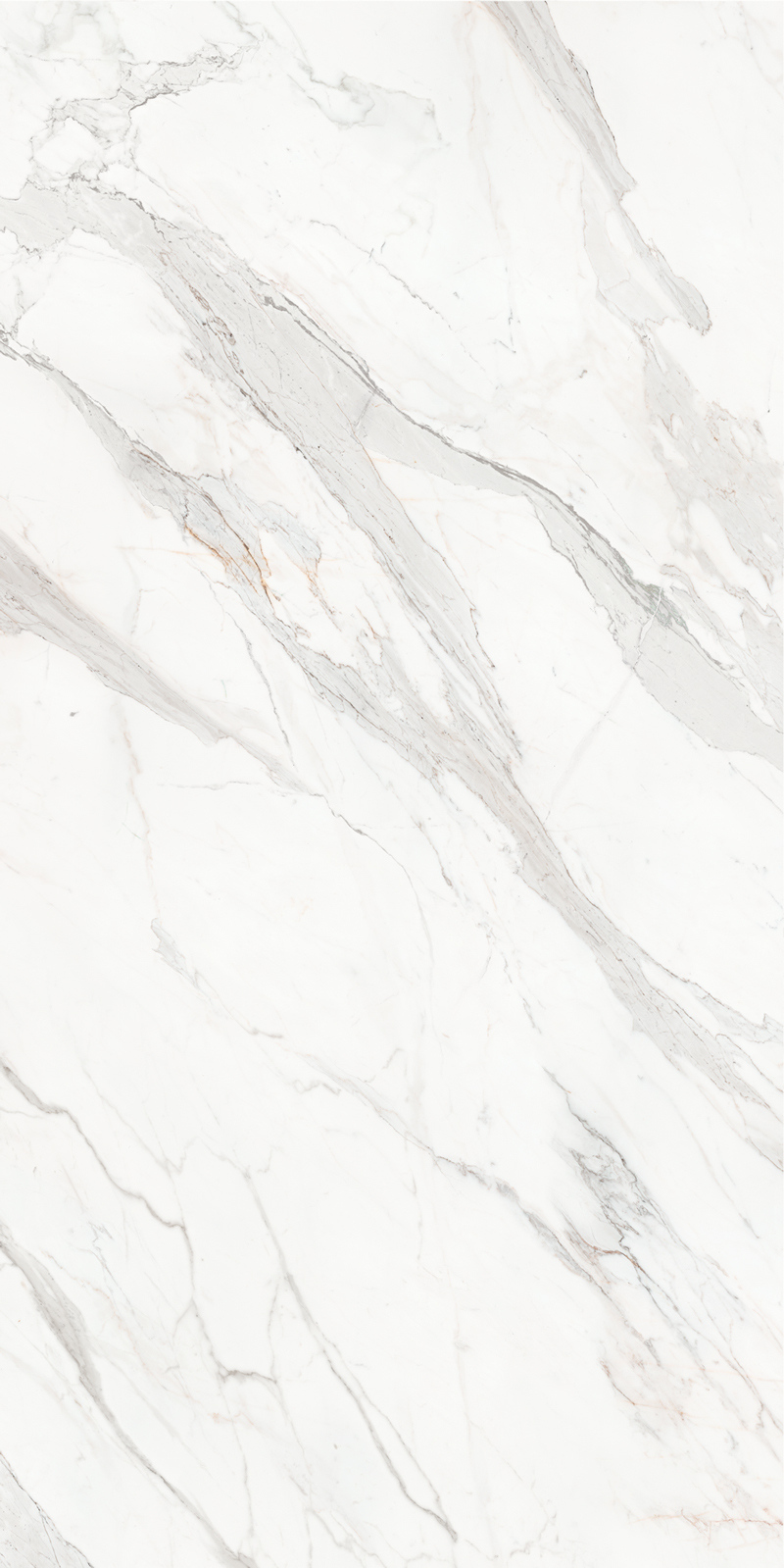 Calacatta Borghini 48 Slab 6mm R 6