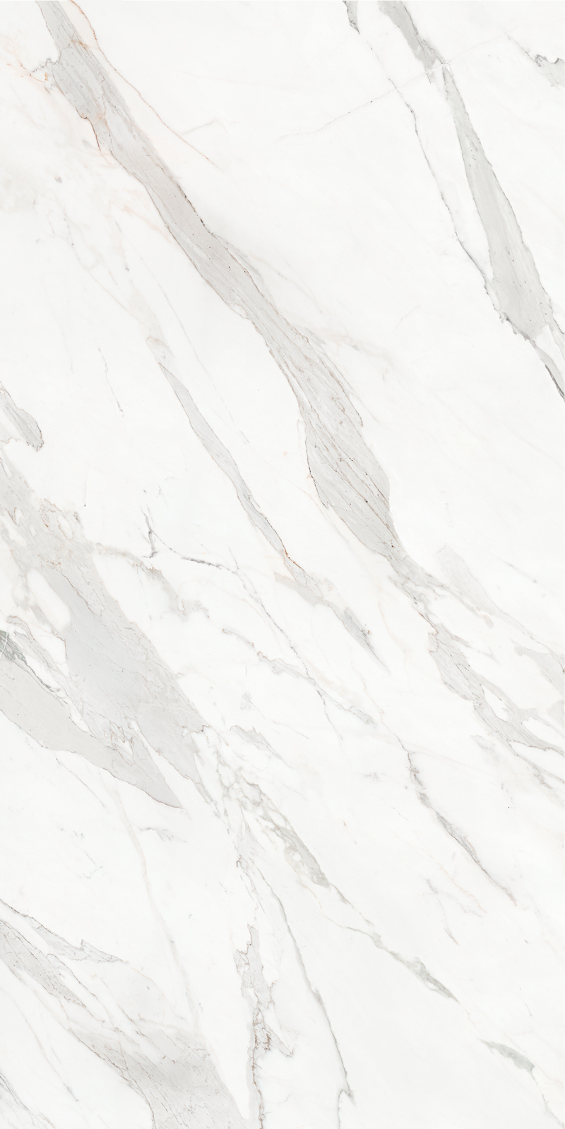 Calacatta Borghini 48 Slab 6mm R 7