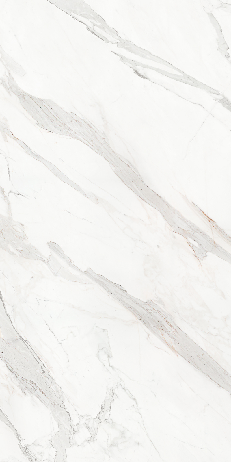 Calacatta Borghini 48 Slab 6mm R 8