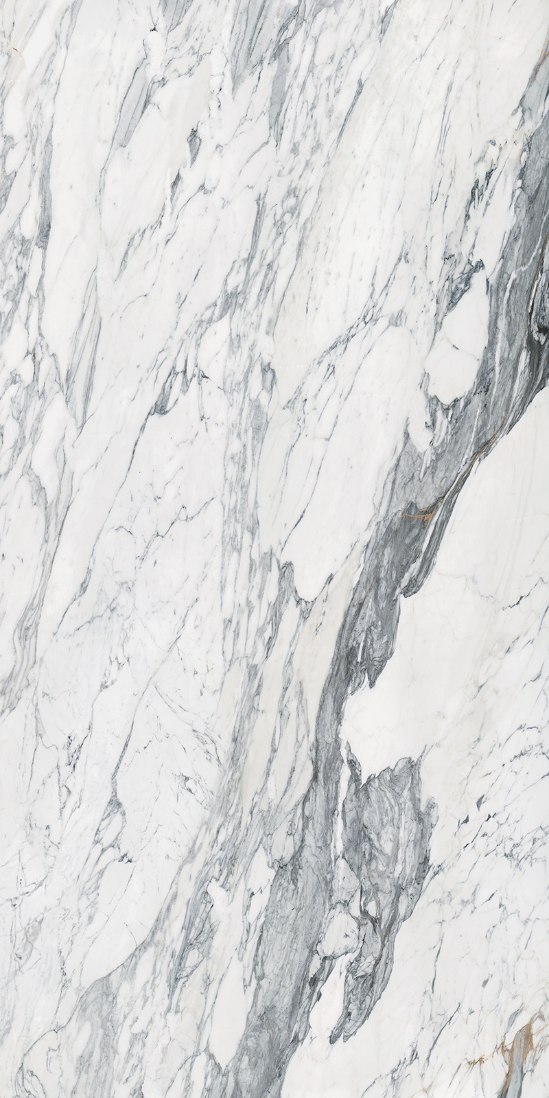 Calacatta Corchia 43 Slab 12mm B 1