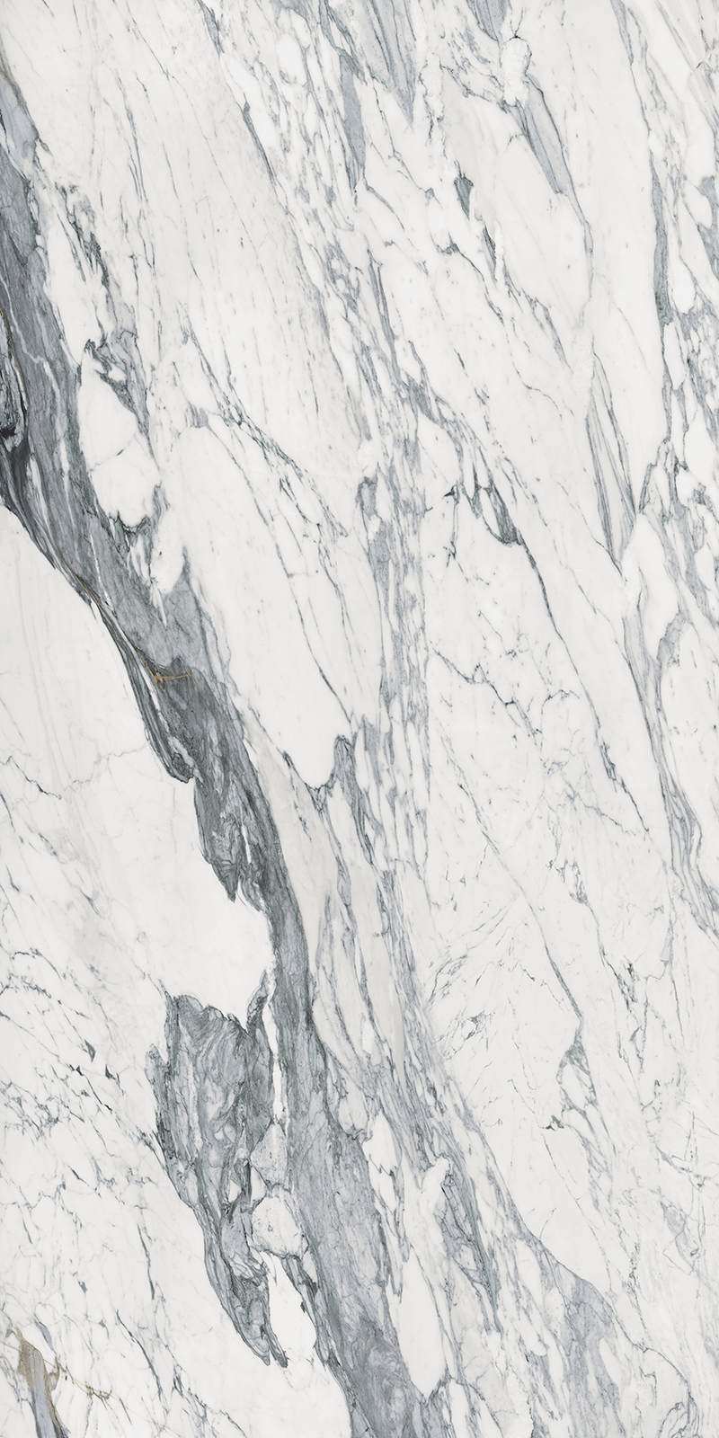 Calacatta Corchia 43 Slab 12mm B 2