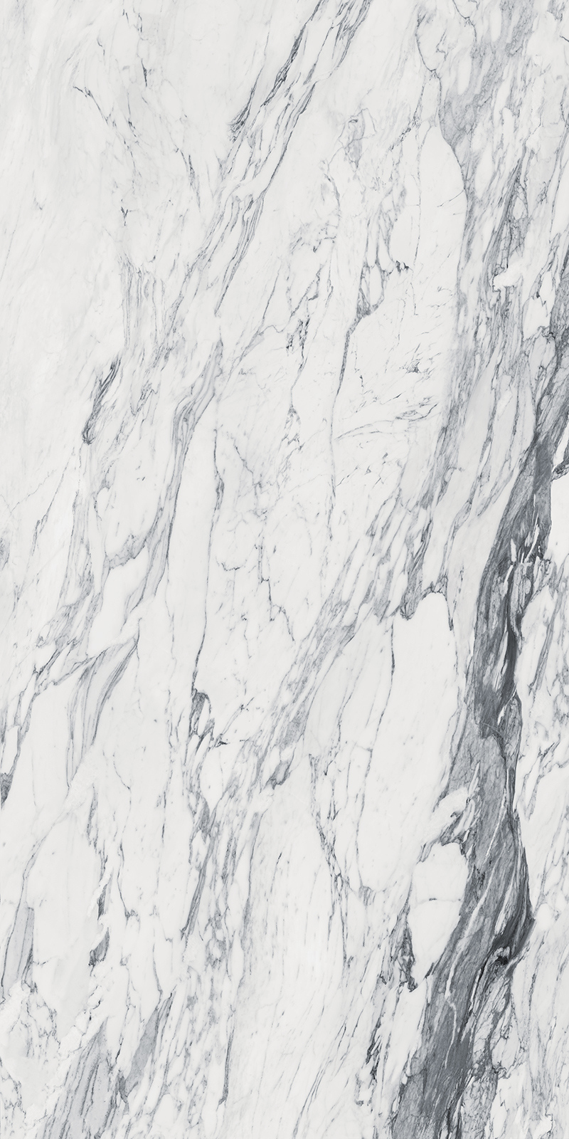 Calacatta Corchia 43 Slab 6mm R 5