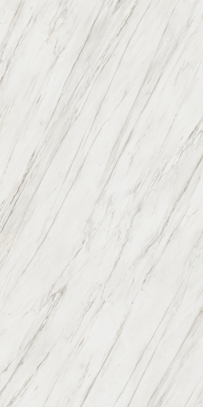 Calacatta Cremo 12 Slab 6mm R 2