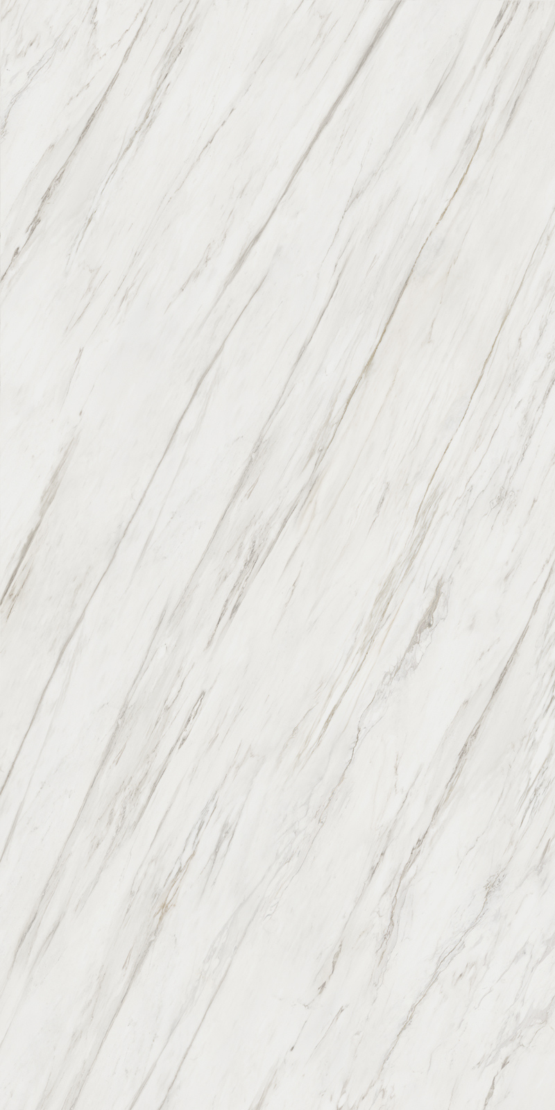 Calacatta Cremo 12 Slab 6mm R 5