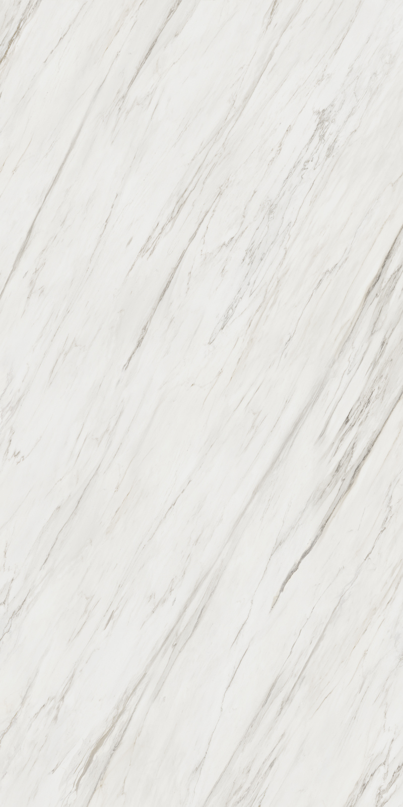 Calacatta Cremo 12 Slab 6mm R 8