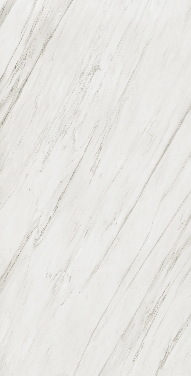 Calacatta Cremo 31 Slab 12mm B 1