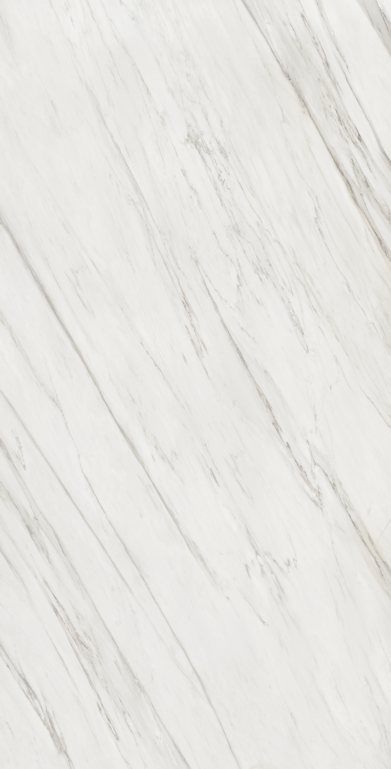 Calacatta Cremo 31 Slab 12mm B 2