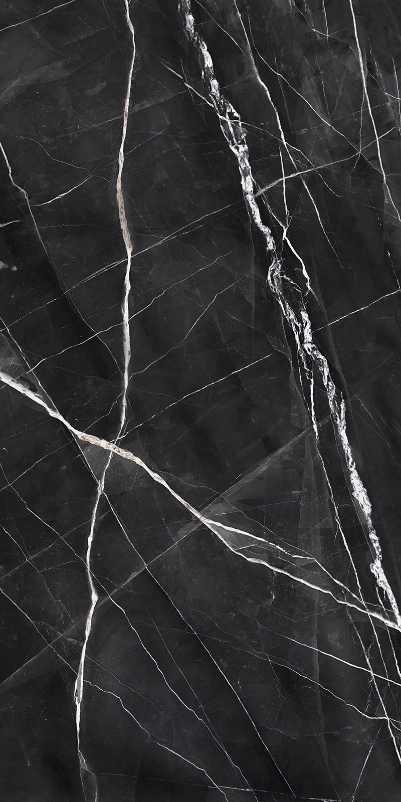 Calacatta Noir 34 Slab 6mm R 1