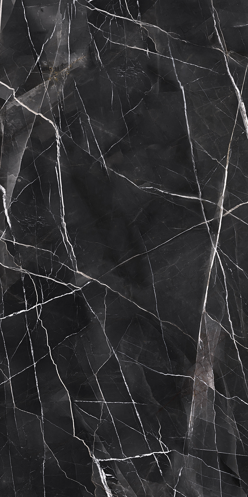 Calacatta Noir 34 Slab 6mm R 2