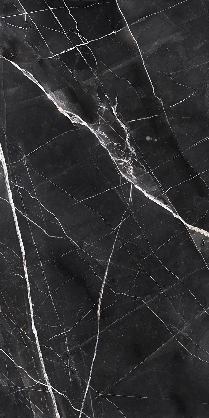 Calacatta Noir 34 Slab 6mm R 6