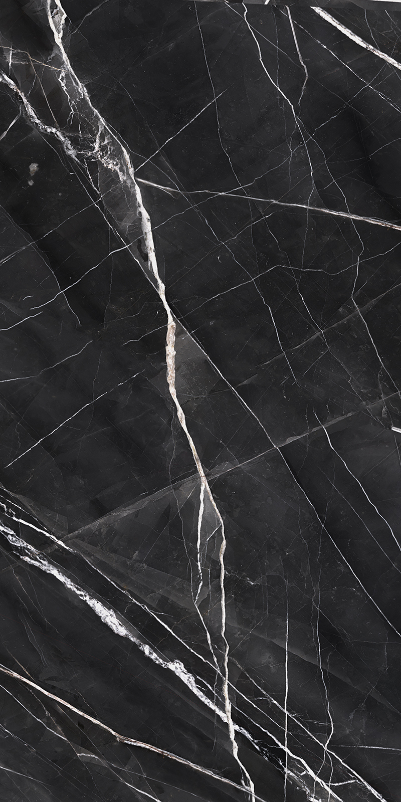 Calacatta Noir 34 Slab 6mm R 8