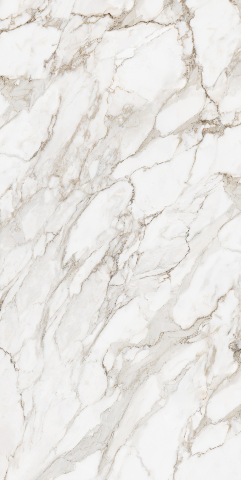 Calacatta Oro 12 Slab 12mm B 1