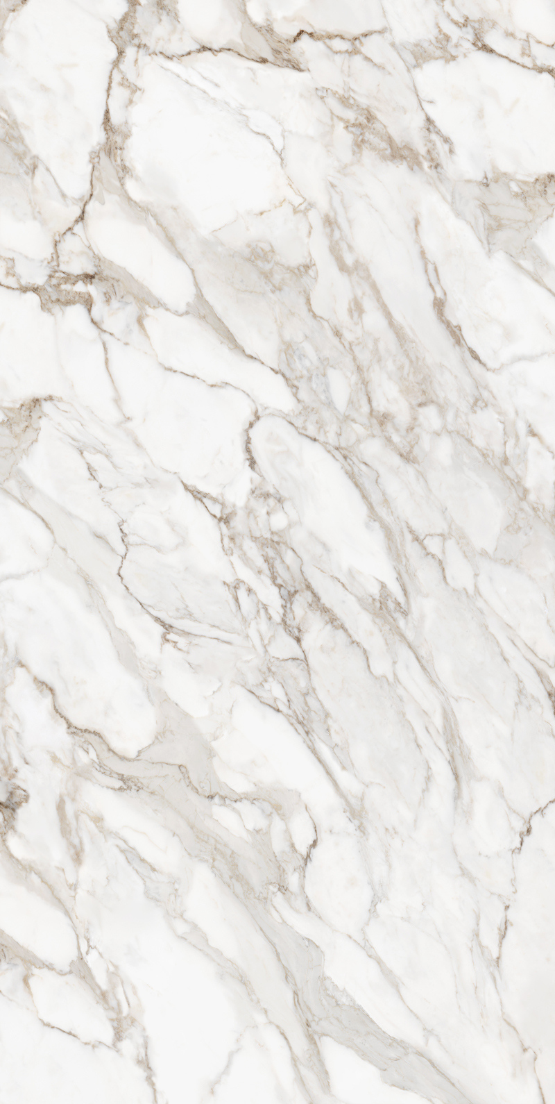 Calacatta Oro 12 Slab 12mm B 2