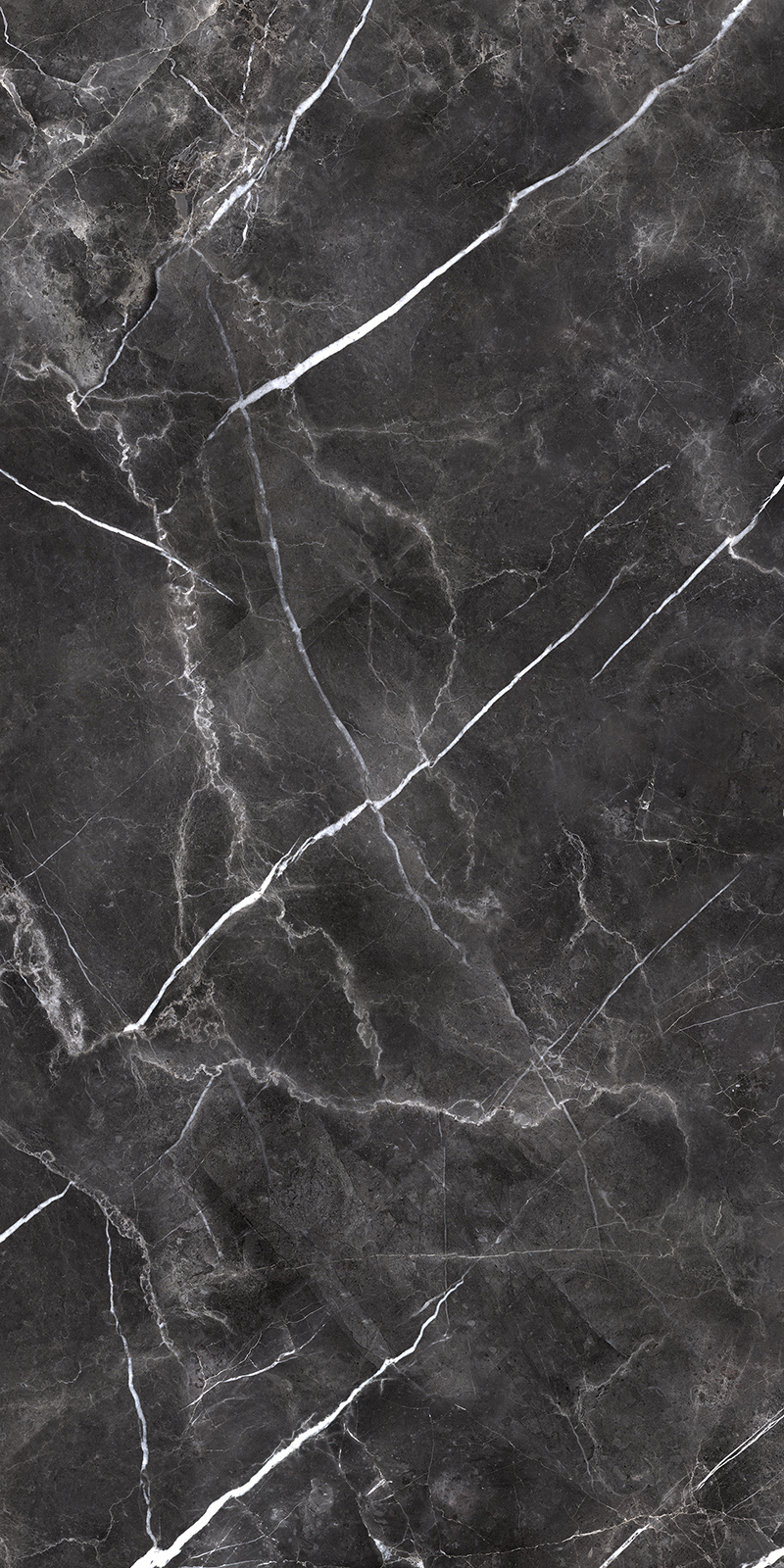 Forge Eleganza 20 Slab 6mm R 2