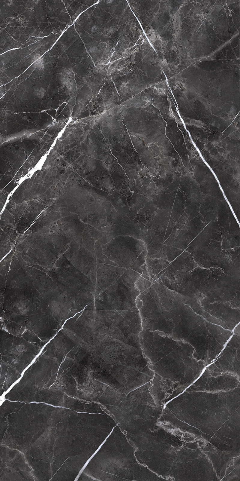 Forge Eleganza 20 Slab 6mm R 5