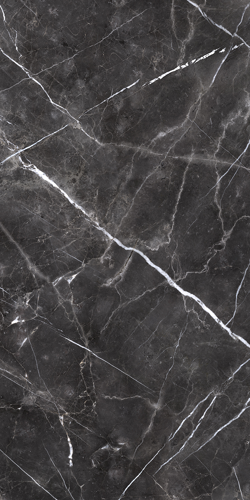 Forge Eleganza 20 Slab 6mm R 6