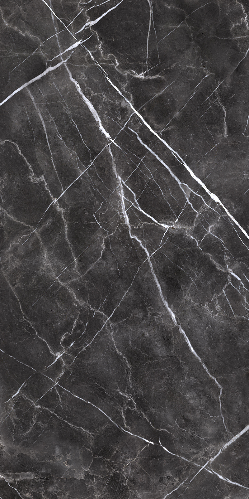 Forge Eleganza 20 Slab 6mm R 8